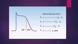 Basic EP study (part1) | PPTX