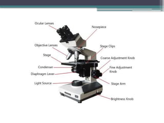 Comprehensive Overview of Essential Microbiology Laboratory Equipment ...