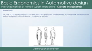 Mesomorphs:
This type of body contains less fat but well balanced and firmed; usually referred to as muscular. Movements are
well co-ordinated in all the limbs and in the body as a whole..
 