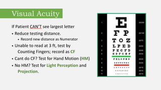 Eye Test Example Script Computer Length Basic Eye Exam RESOURCE.pdf