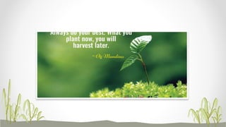 Basic facts about consumer health 2