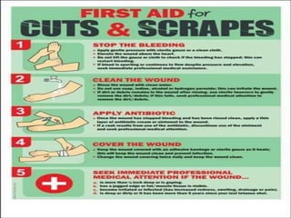 Basic First Aid for Students - Dr. Avinash Kavi | PPTX