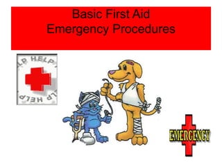 Basic First Aid Emergency Procedures 
