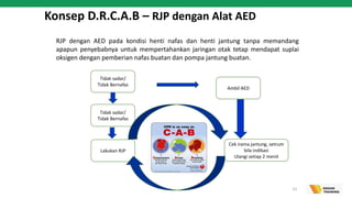Aed Rjp Basic First Aider and Basic Life Support | PDF