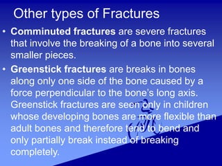 Other types of Fractures
• Comminuted fractures are severe fractures
that involve the breaking of a bone into several
smaller pieces.
• Greenstick fractures are breaks in bones
along only one side of the bone caused by a
force perpendicular to the bone’s long axis.
Greenstick fractures are seen only in children
whose developing bones are more flexible than
adult bones and therefore tend to bend and
only partially break instead of breaking
completely.
 