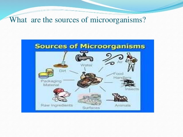 Basic food microbiology for food services