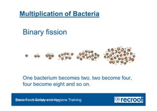 Binary fission
Orientation – Food Hygiene Overview
Basic Food Safety and Hygiene Training
One bacterium becomes two, two become four,
four become eight and so on.
 