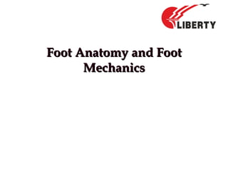 Foot Anatomy and FootFoot Anatomy and Foot
MechanicsMechanics
 