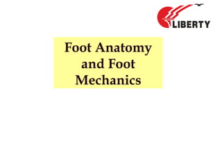 Foot Anatomy
and Foot
Mechanics
 