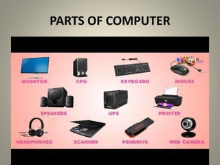 Basic fundamentals of computer | PPTX | Computer Peripherals | Computing