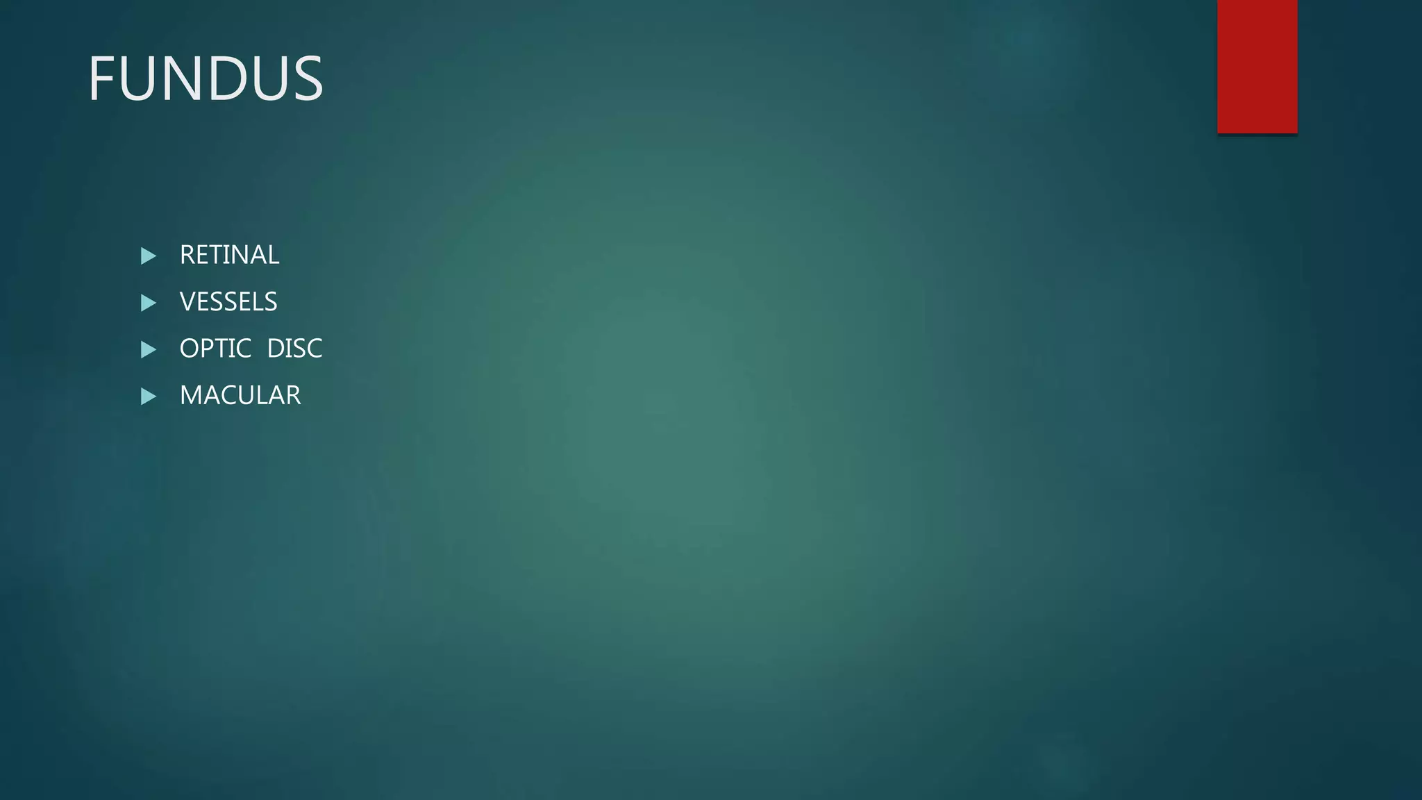 FUNDUS
 RETINAL
 VESSELS
 OPTIC DISC
 MACULAR
 
