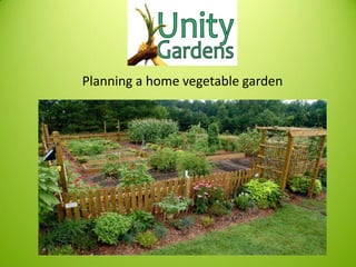 Planning a home vegetable garden
 