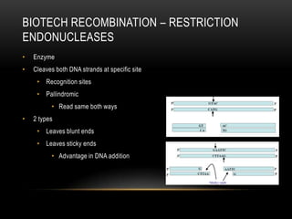 BIOTECH RECOMBINATION – RESTRICTION
ENDONUCLEASES
•   Enzyme
•   Cleaves both DNA strands at specific site
     • Recognition sites
     • Pallindromic
          • Read same both ways
•   2 types
     • Leaves blunt ends
     • Leaves sticky ends
          • Advantage in DNA addition
 