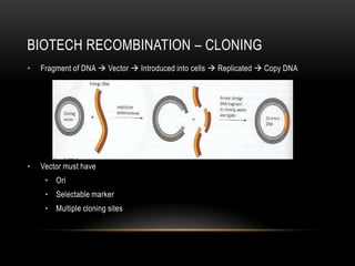 BIOTECH RECOMBINATION – CLONING
•   Fragment of DNA  Vector  Introduced into cells  Replicated  Copy DNA




•   Vector must have
     • Ori
     • Selectable marker
     • Multiple cloning sites
 