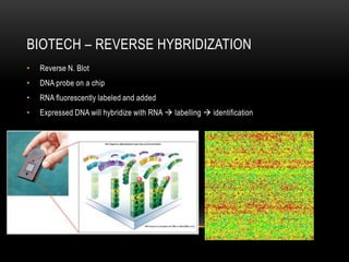 BIOTECH – REVERSE HYBRIDIZATION
•   Reverse N. Blot
•   DNA probe on a chip
•   RNA fluorescently labeled and added
•   Expressed DNA will hybridize with RNA  labelling  identification
 