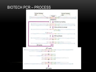 BIOTECH PCR – PROCESS
 