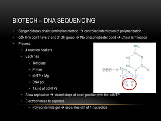 BIOTECH – DNA SEQUENCING
•   Sanger dideoxy chain termination method  controlled interruption of polymerization
•   ddNTP’s don’t have 3’ and 2’ OH group  No phosphodiester bond  Chain termination
•   Process
     • 4 reaction beakers
     • Each has
          • Template
          • Primer
          • dNTP + Mg
          • DNA pol
          • 1 kind of ddNTPs
     • Allow replication  strand stops at each position with the ddNTP
     • Electrophorese to separate
          • Polyacrylamide gel  separates diff of 1 nucleotide
 
