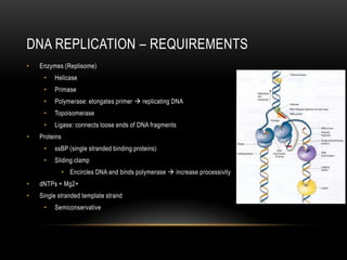 DNA REPLICATION – REQUIREMENTS
•   Enzymes (Replisome)
     •   Helicase
     •   Primase
     •   Polymerase: elongates primer  replicating DNA
     •   Topoisomerase
     •   Ligase: connects loose ends of DNA fragments
•   Proteins
     •   ssBP (single stranded binding proteins)
     •   Sliding clamp
               • Encircles DNA and binds polymerase  increase processivity
•   dNTPs + Mg2+
•   Single stranded template strand
     •   Semiconservative
 