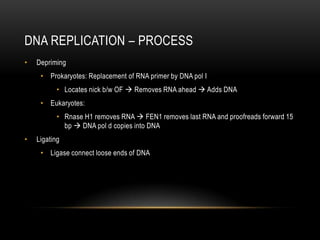 DNA REPLICATION – PROCESS
•   Depriming
     • Prokaryotes: Replacement of RNA primer by DNA pol I
           • Locates nick b/w OF  Removes RNA ahead  Adds DNA
     • Eukaryotes:
           • Rnase H1 removes RNA  FEN1 removes last RNA and proofreads forward 15
             bp  DNA pol d copies into DNA
•   Ligating
     • Ligase connect loose ends of DNA
 
