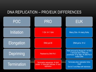 DNA REPLICATION – PRO/EUK DIFFERENCES

   POC                   PRO                                   EUK

 Initiation            1 Ori  1 fork                 Many Oris  many forks




Elongation               DNA pol III                        DNA pol a  d


                                                   RNA removed by Rnase H1  FEN
Depriming           Replased by DNA Pol I
                                                        1 removes last 5’ RNA and
                                                   proofreads 15 bp after  DNA Pol d
                                                               makes DNA


                 Termination sequences  bind       Terminate when replication forks
Termination   protein  dislocate Helicase  end
                           replication
                                                                   meet
                                                    End of 3’ end filled with telomeres
 