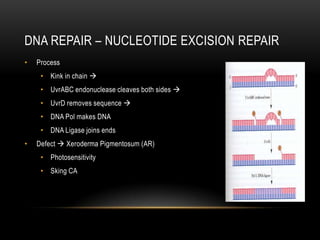 DNA REPAIR – NUCLEOTIDE EXCISION REPAIR
•   Process
     • Kink in chain 
     • UvrABC endonuclease cleaves both sides 
     • UvrD removes sequence 
     • DNA Pol makes DNA
     • DNA Ligase joins ends
•   Defect  Xeroderma Pigmentosum (AR)
     • Photosensitivity
     • Sking CA
 