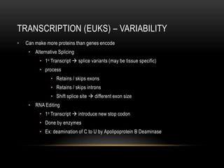 TRANSCRIPTION (EUKS) – VARIABILITY
•   Can make more proteins than genes encode
     • Alternative Splicing
          • 1o Transcript  splice variants (may be tissue specific)
          • process
               • Retains / skips exons
               • Retains / skips introns
               • Shift splice site  different exon size
     • RNA Editing
          • 1o Transcript  introduce new stop codon
          • Done by enzymes
          • Ex: deamination of C to U by Apolipoprotein B Deaminase
 