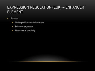 EXPRESSION REGULATION (EUK) – ENHANCER
ELEMENT
•   Function
     • Binds specific transcription factors
     • Enhances expression
     • Allows tissue specificity
 