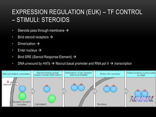 EXPRESSION REGULATION (EUK) – TF CONTROL
– STIMULI: STEROIDS
•   Steroids pass through membrane 
•   Bind steroid receptors 
•   Dimerization 
•   Enter nucleus 
•   Bind SRE (Steroid Response Element) 
•   DNA unwound by HATs  Recruit basal promoter and RNA pol II  transcription
 