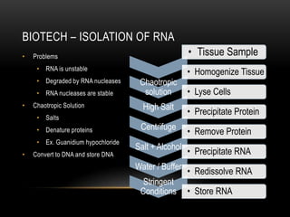BIOTECH – ISOLATION OF RNA
•   Problems                                         • Tissue Sample
     • RNA is unstable
                                                     • Homogenize Tissue
     • Degraded by RNA nucleases     Chaotropic
     • RNA nucleases are stable       solution       • Lyse Cells
•   Chaotropic Solution               High Salt
                                                     • Precipitate Protein
     • Salts
                                     Centrifuge
     • Denature proteins                             • Remove Protein
     • Ex. Guanidium hypochloride
                                    Salt + Alcohol
•   Convert to DNA and store DNA                     • Precipitate RNA
                                    Water / Buffer
                                                     • Redissolve RNA
                                      Stringent
                                     Conditions      • Store RNA
 
