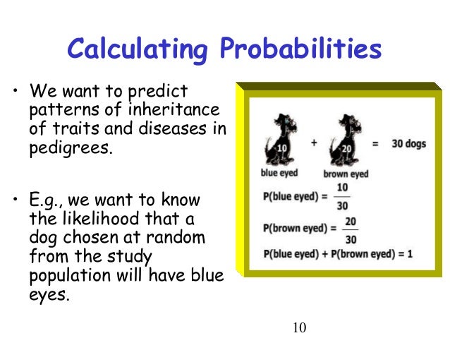 basic genetics eye color probability chart