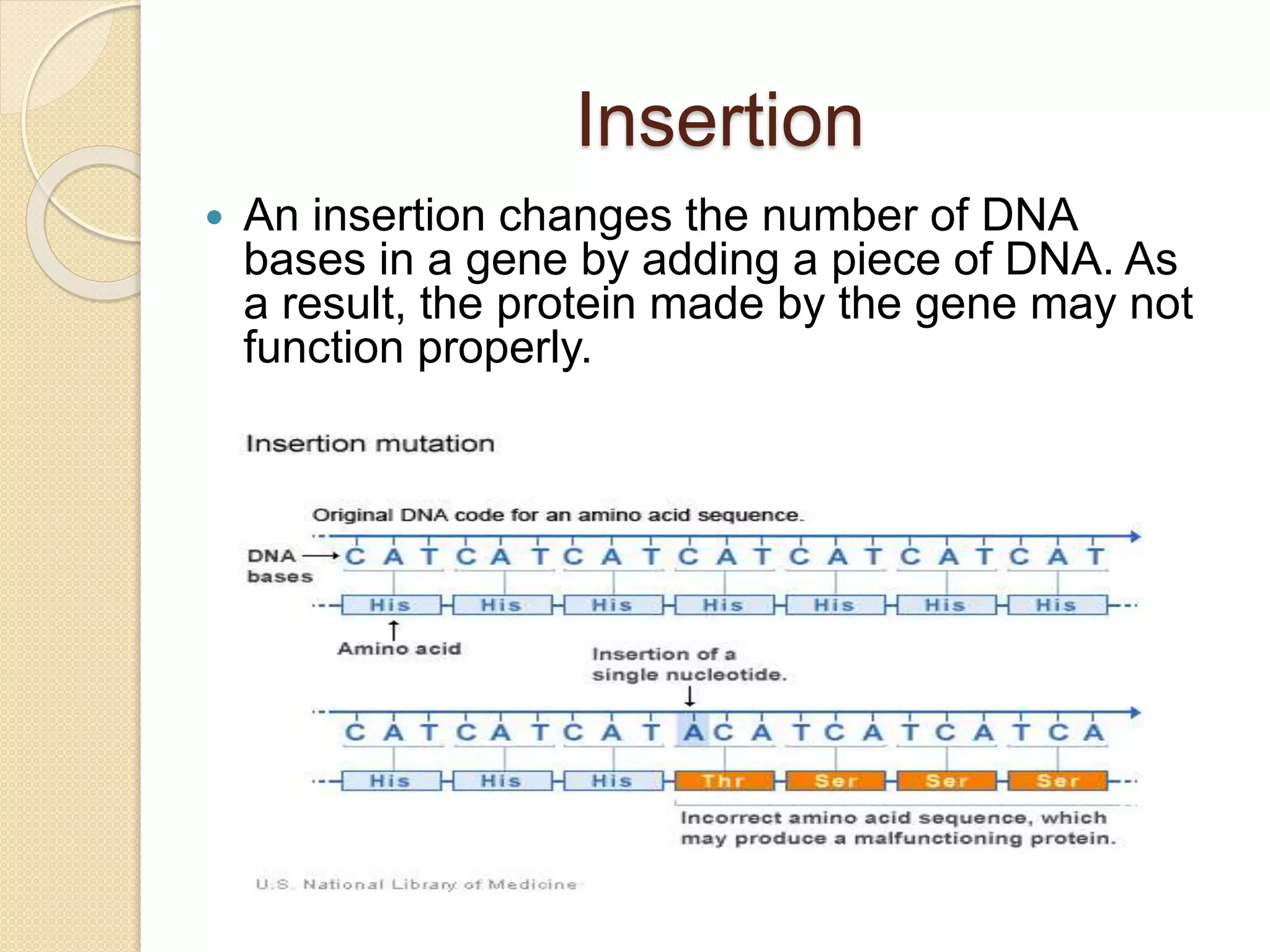 Insertion
 An insertion changes the number of DNA
bases in a gene by adding a piece of DNA. As
a result, the protein made by the gene may not
function properly.
 