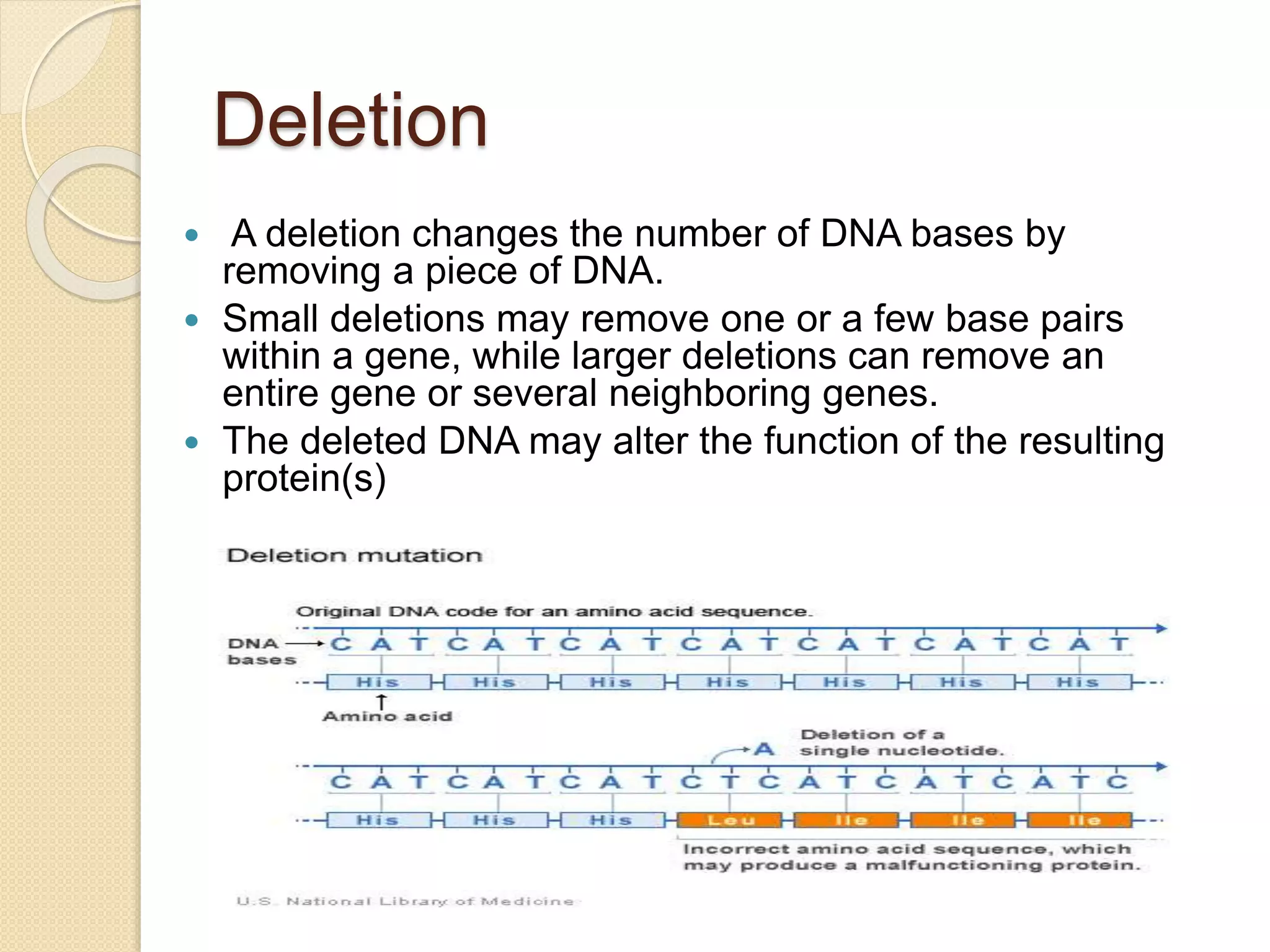 Deletion
 A deletion changes the number of DNA bases by
removing a piece of DNA.
 Small deletions may remove one or a few base pairs
within a gene, while larger deletions can remove an
entire gene or several neighboring genes.
 The deleted DNA may alter the function of the resulting
protein(s)
 