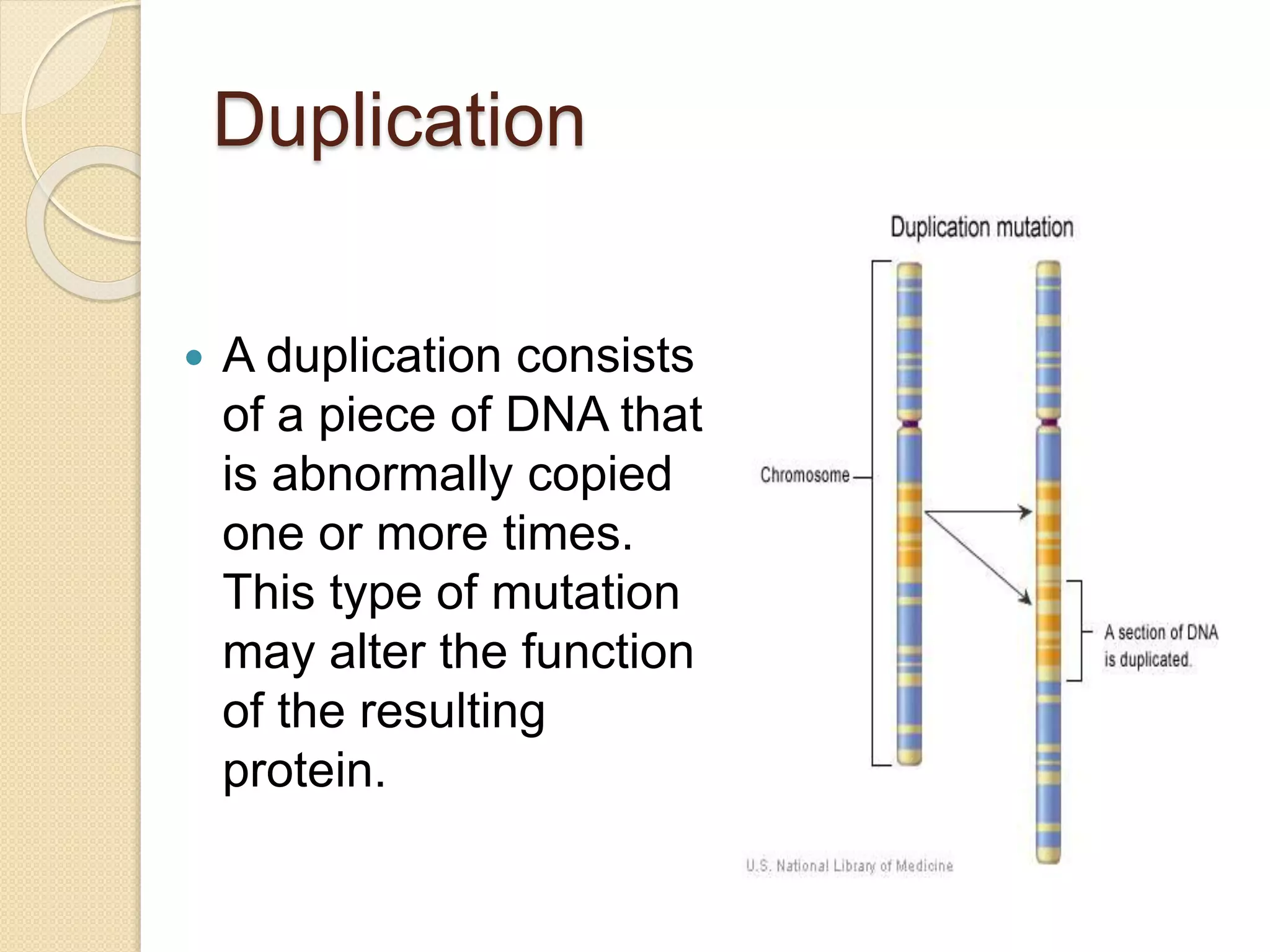 Duplication
 A duplication consists
of a piece of DNA that
is abnormally copied
one or more times.
This type of mutation
may alter the function
of the resulting
protein.
 