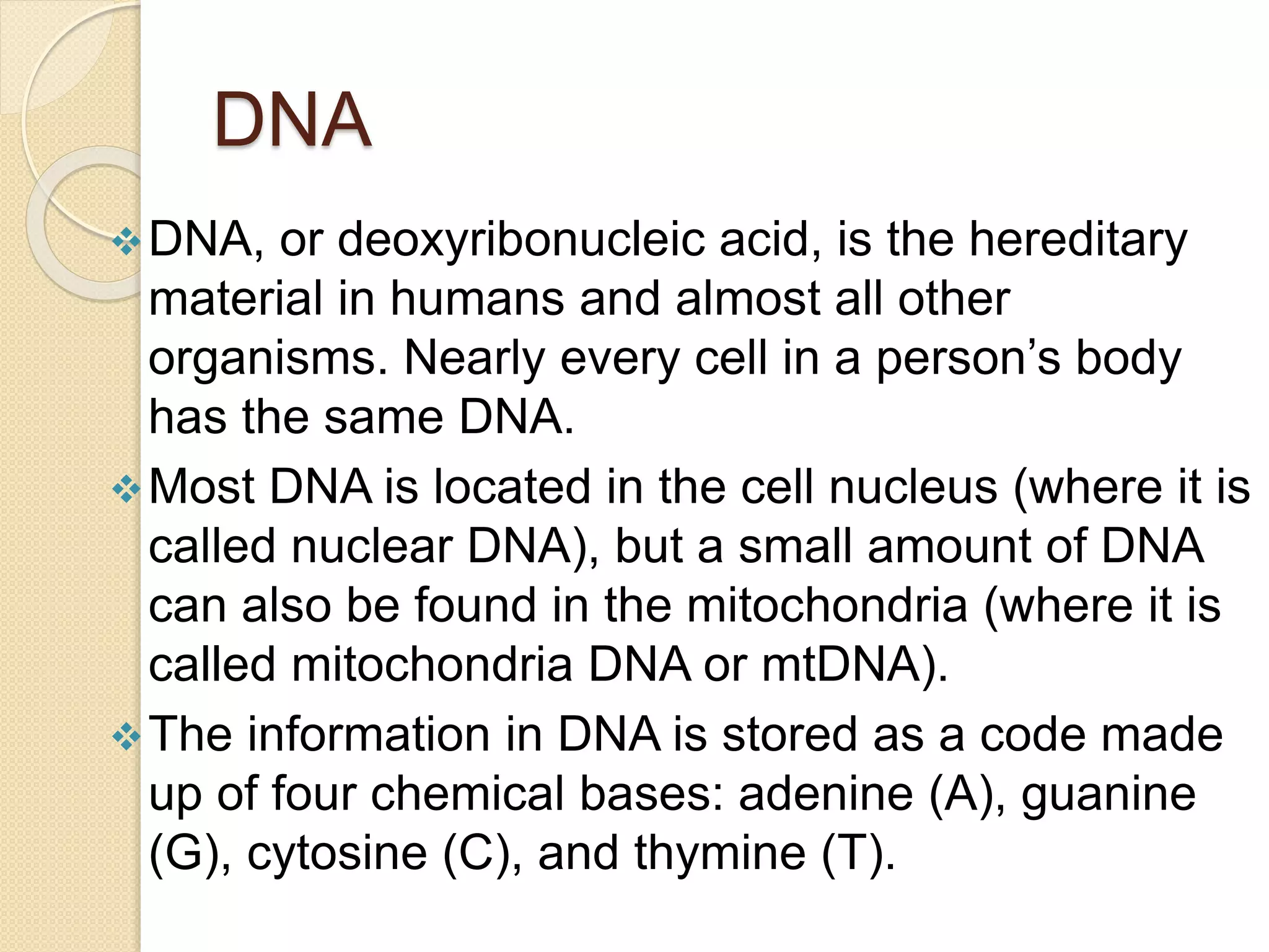 DNA
DNA, or deoxyribonucleic acid, is the hereditary
material in humans and almost all other
organisms. Nearly every cell in a person’s body
has the same DNA.
Most DNA is located in the cell nucleus (where it is
called nuclear DNA), but a small amount of DNA
can also be found in the mitochondria (where it is
called mitochondria DNA or mtDNA).
The information in DNA is stored as a code made
up of four chemical bases: adenine (A), guanine
(G), cytosine (C), and thymine (T).
 