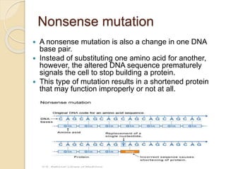 Nonsense mutation
 A nonsense mutation is also a change in one DNA
base pair.
 Instead of substituting one amino acid for another,
however, the altered DNA sequence prematurely
signals the cell to stop building a protein.
 This type of mutation results in a shortened protein
that may function improperly or not at all.
 