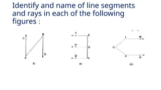 Identify and name of line segments
and rays in each of the following
figures :