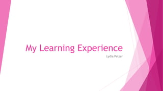 My Learning Experience
Lydia Pelzer
 