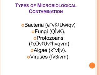 TYPES OF MICROBIOLOGICAL
CONTAMINATION
Bacteria (e¨vK‡Uwiqv)
Fungi (QÎvK).
Protozoans
(‡cÖv‡Uv‡hvqvm).
Algae (k¨vIjv).
Viruses (fvBivm).
 