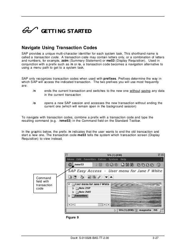 Basic guide of sap
