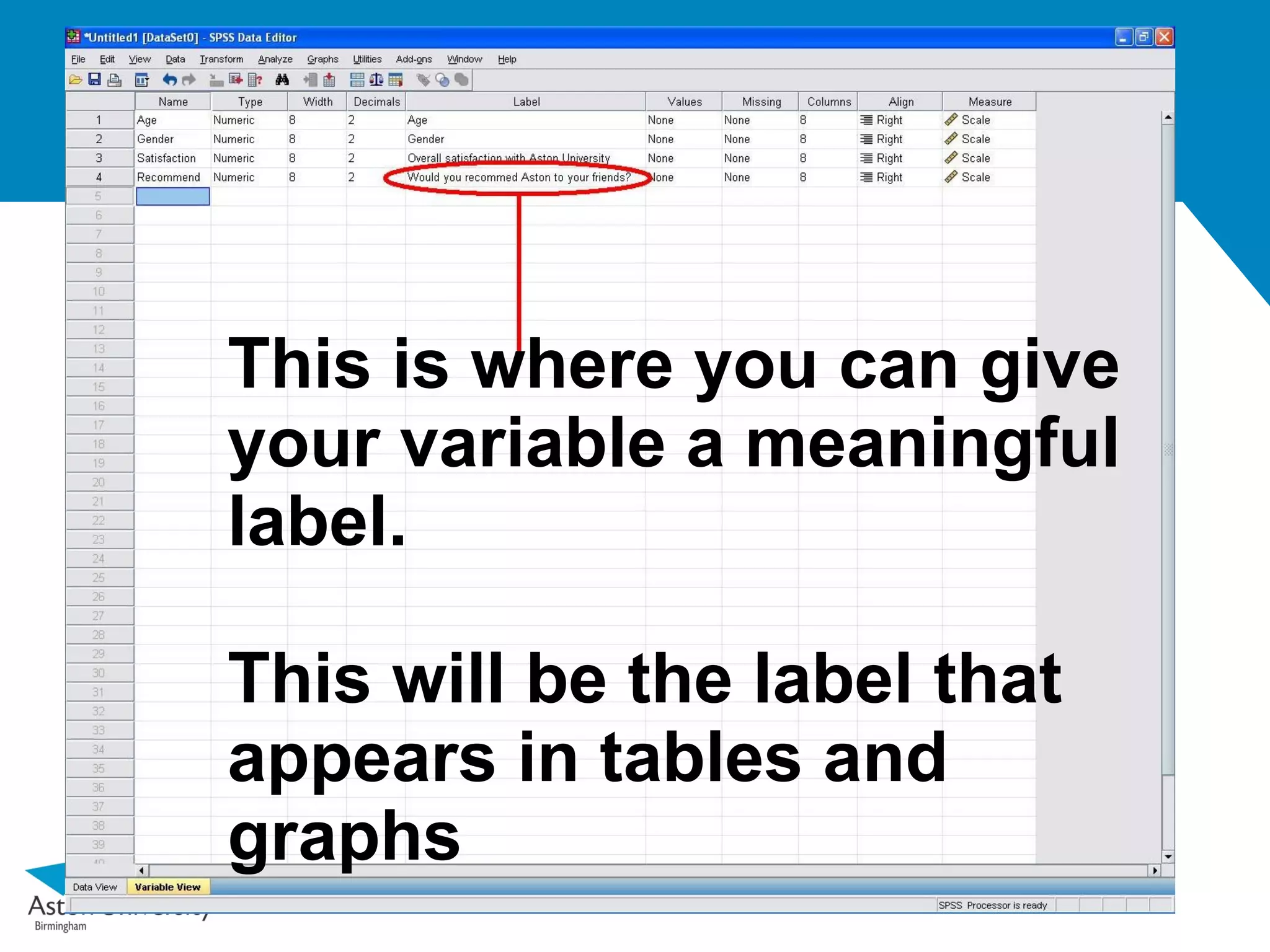 This is where you can give
your variable a meaningful
label.

This will be the label that
appears in tables and
graphs
 