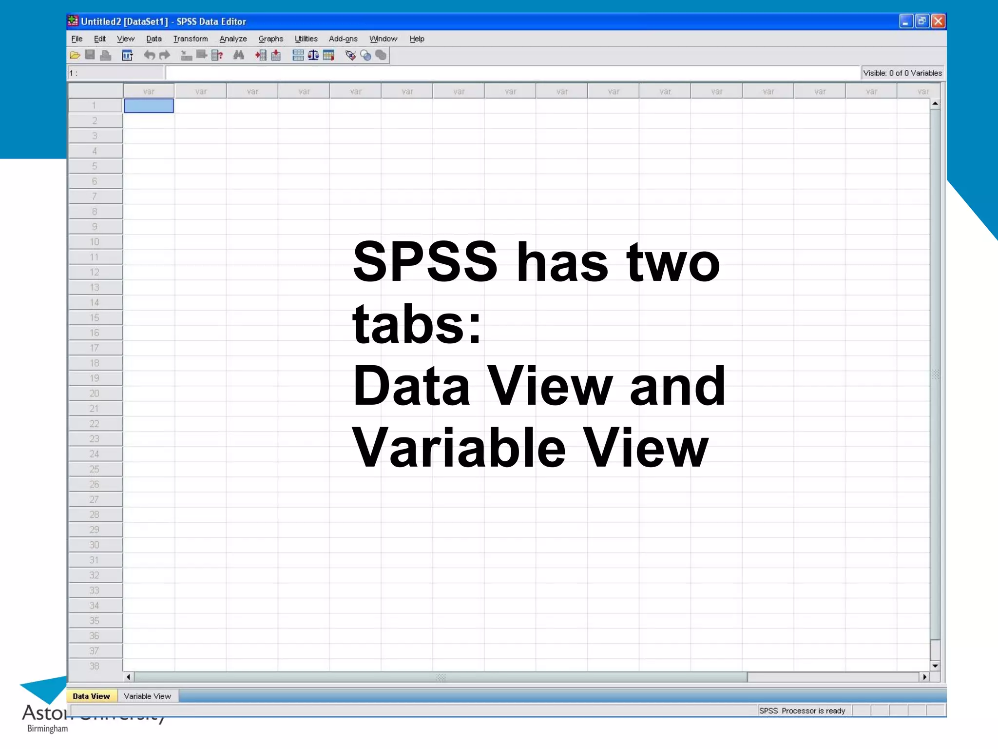 SPSS has two
tabs:
Data View and
Variable View
 