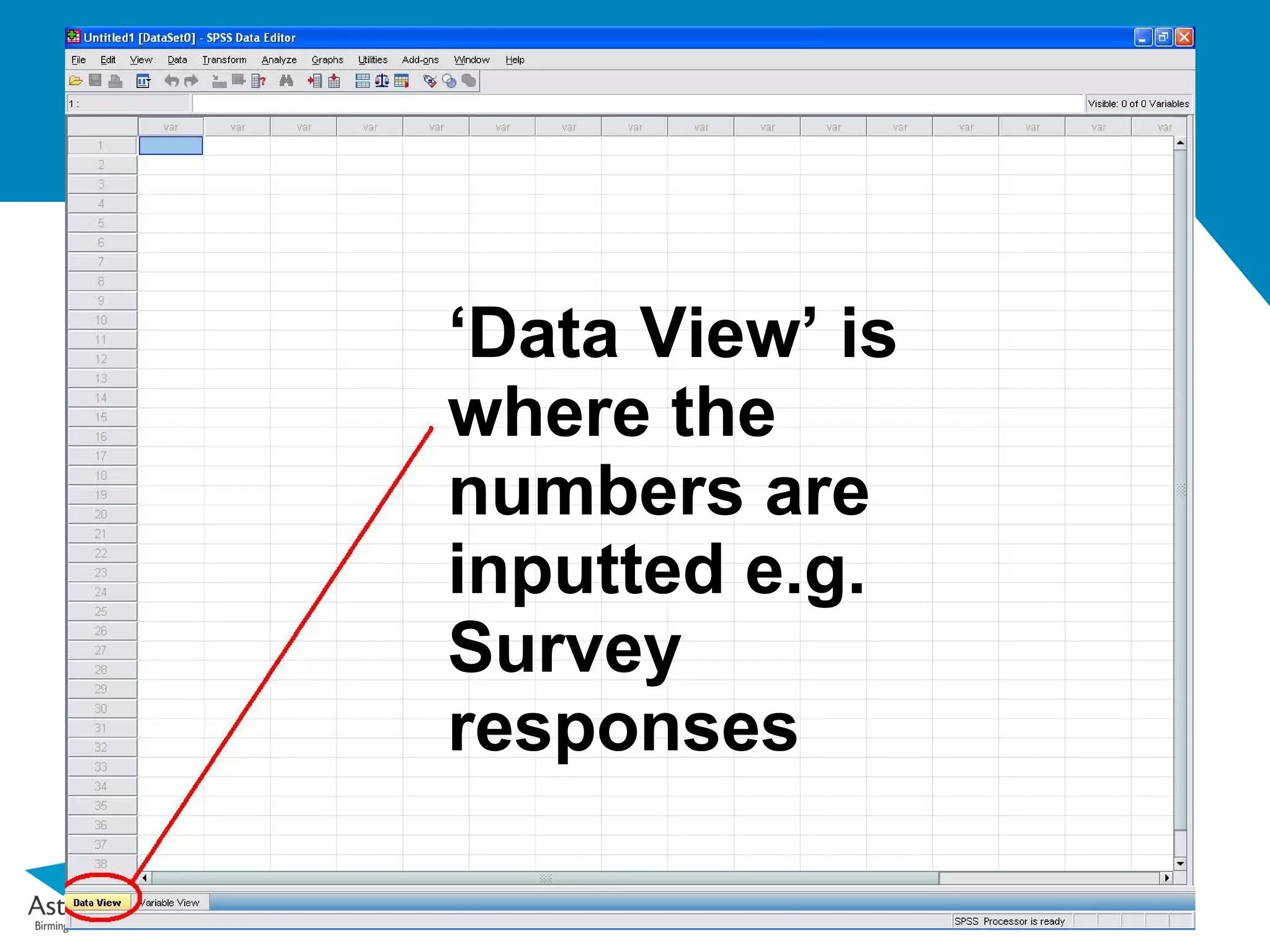 ‘Data View’ is
where the
numbers are
inputted e.g.
Survey
responses
 