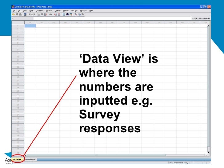 basic guide to spss
