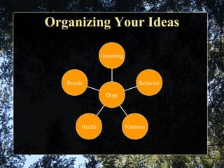 Organizing Your IdeasOrganizing Your Ideas
Breeds
Health Nutrition
Behavior
Grooming
Dogs
 