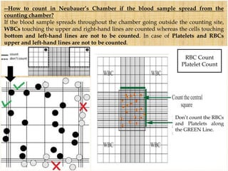 Rbc Count Grid Basic haematology technique | PPTX