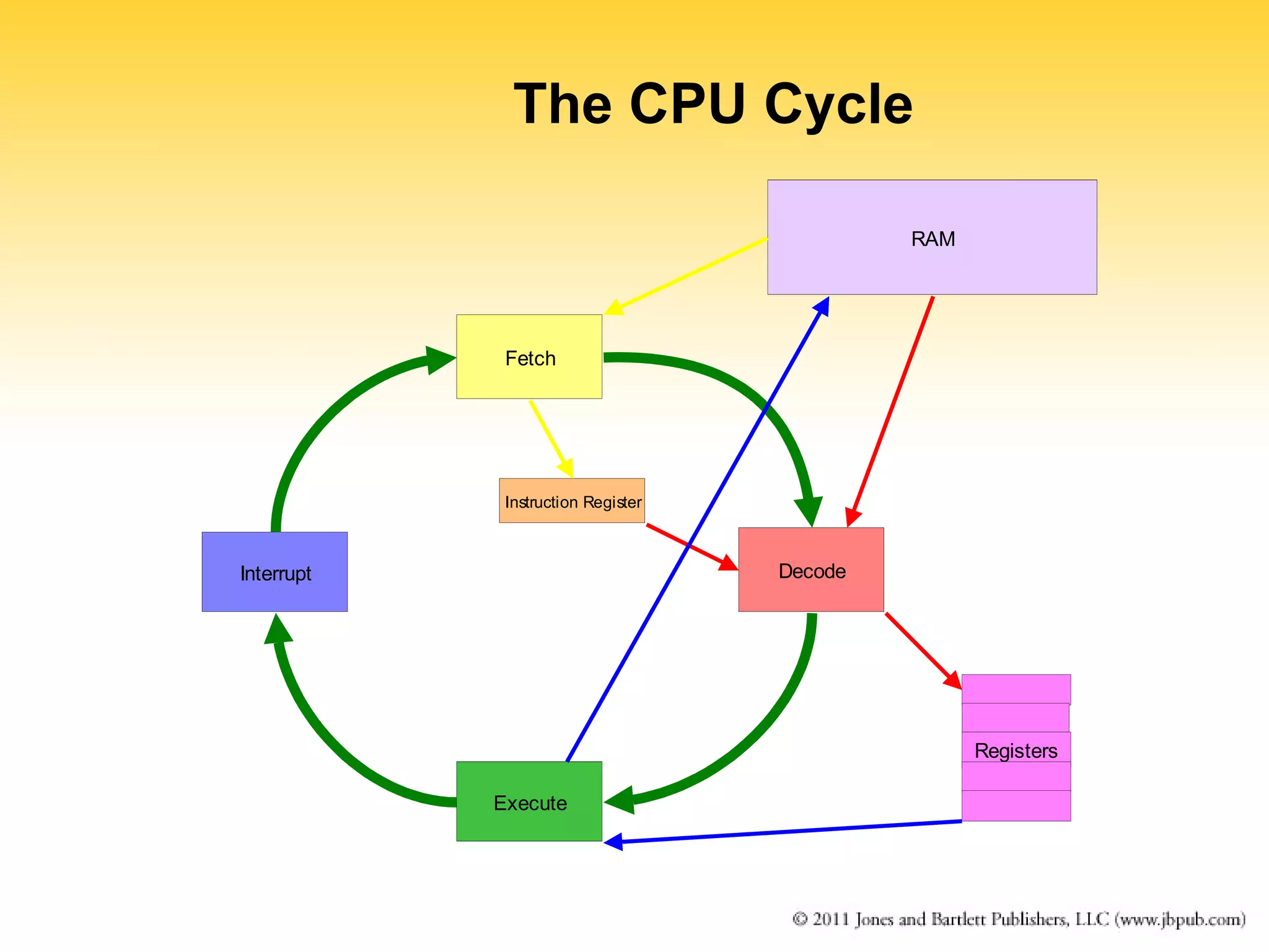 The CPU Cycle 
Fetch 
Decode 
Execute 
Interrupt 
RAM 
Instruction Register 
Registers 
 