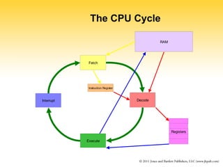 The CPU Cycle 
Fetch 
Decode 
Execute 
Interrupt 
RAM 
Instruction Register 
Registers 
 