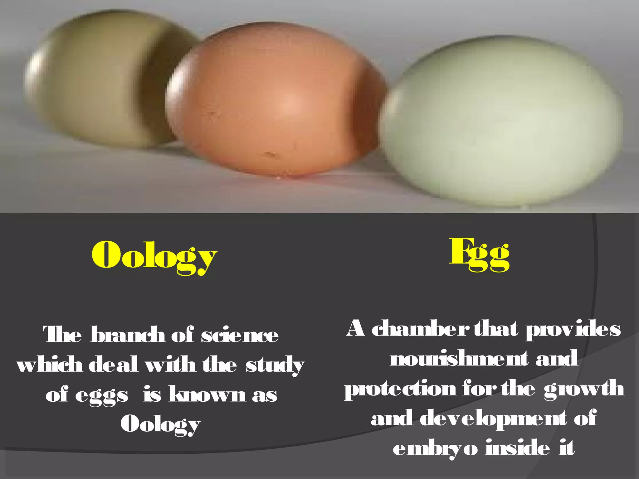 .
Oology
The branch of science
which deal with the study
of eggs is known as
Oology
Egg
A chamberthat provides
nourishment and
protection forthe growth
and development of
embryo inside it
 