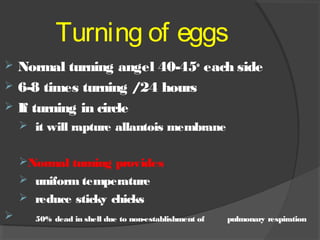 Basic hatchery requirement | PPT
