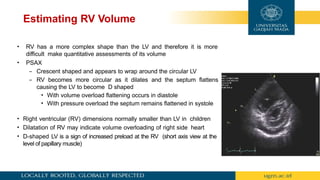 Normal Rv Volume Basic hemodinamic Basic hemodinamic Basic hemodinamic | PPTX